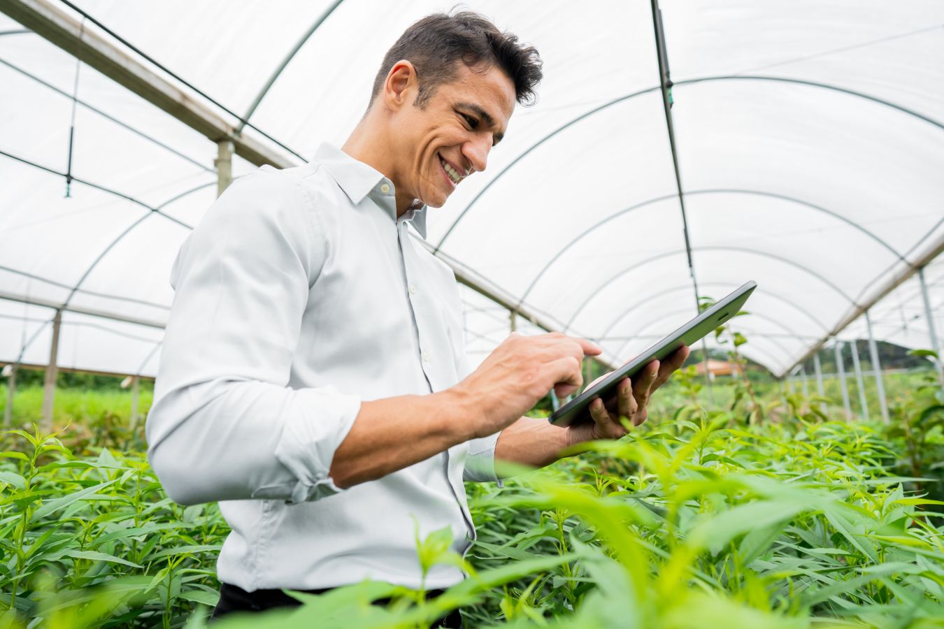 Especialização em Tecnologias Digitais para o Agronegócio