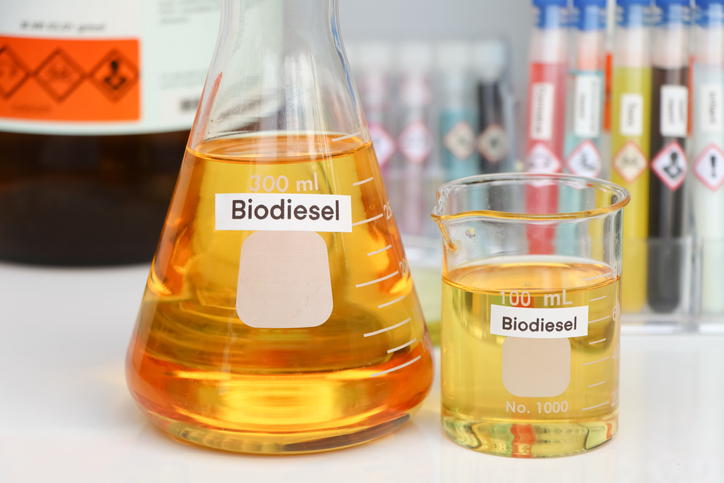 Biodiesel