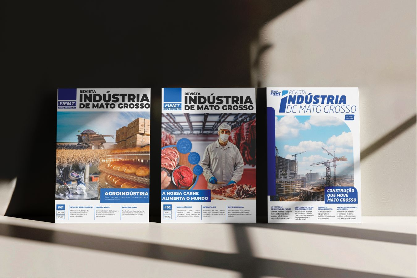 Revistas