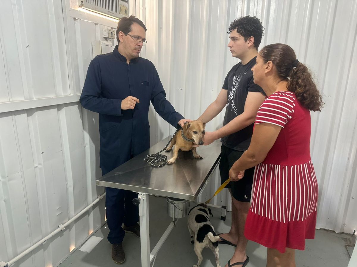 MULTIAÇÃO