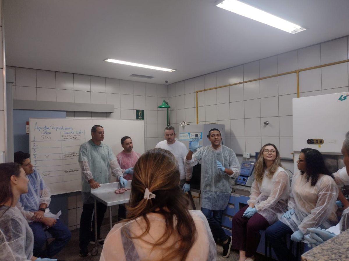 Alunos de MBA do UniSenai participam de aula prática sobre manejo reprodutivo de suínos